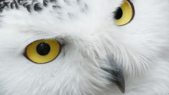 A Key To Your Subconscious – 5 minute technique