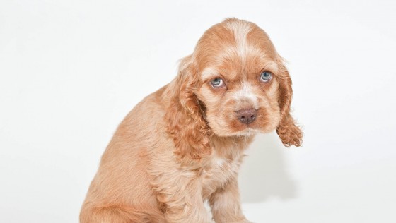 How To Deal With Valentine’s Day Blahs