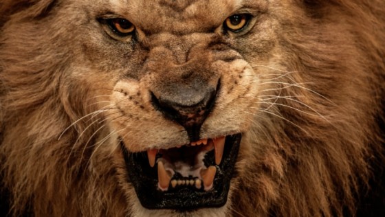 Advice Column: Why do I get so angry and how can I stop it?